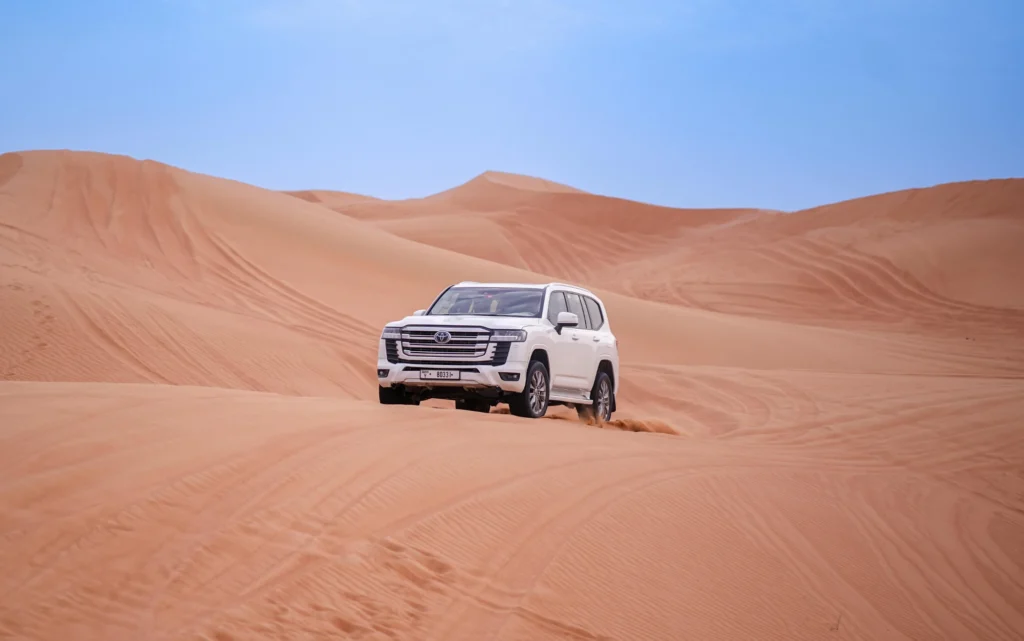True Horizon sand dune driving